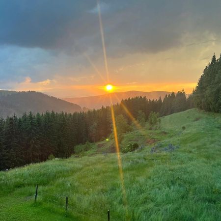 Vila Forsthaus Gray 4 Sankt Veit an der Glan Exteriér fotografie