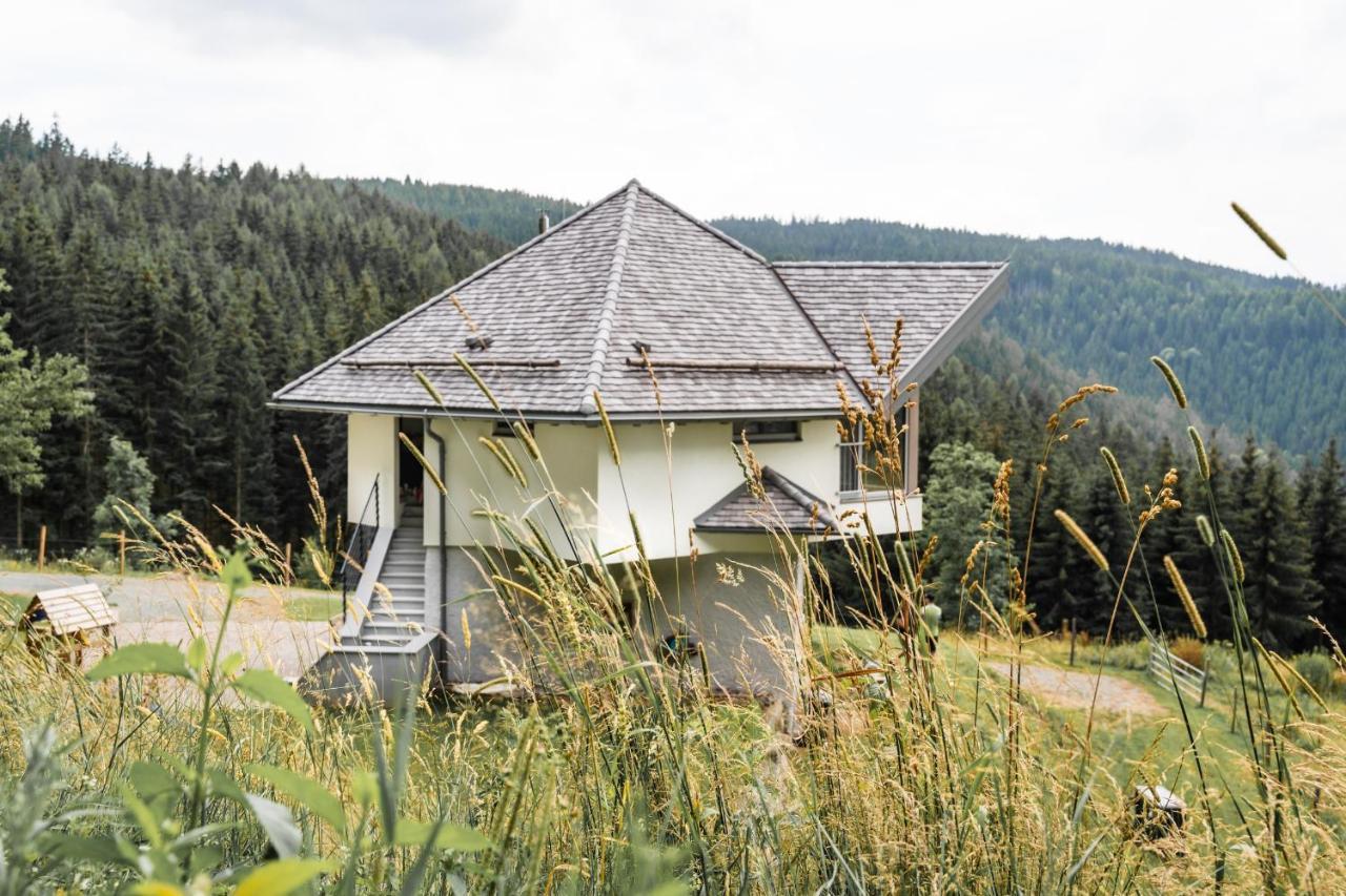 Vila Forsthaus Gray 4 Sankt Veit an der Glan Exteriér fotografie