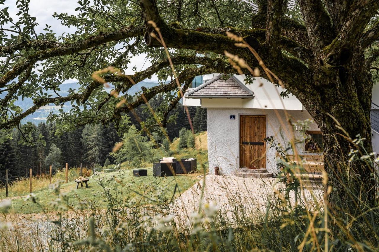 Vila Forsthaus Gray 4 Sankt Veit an der Glan Exteriér fotografie