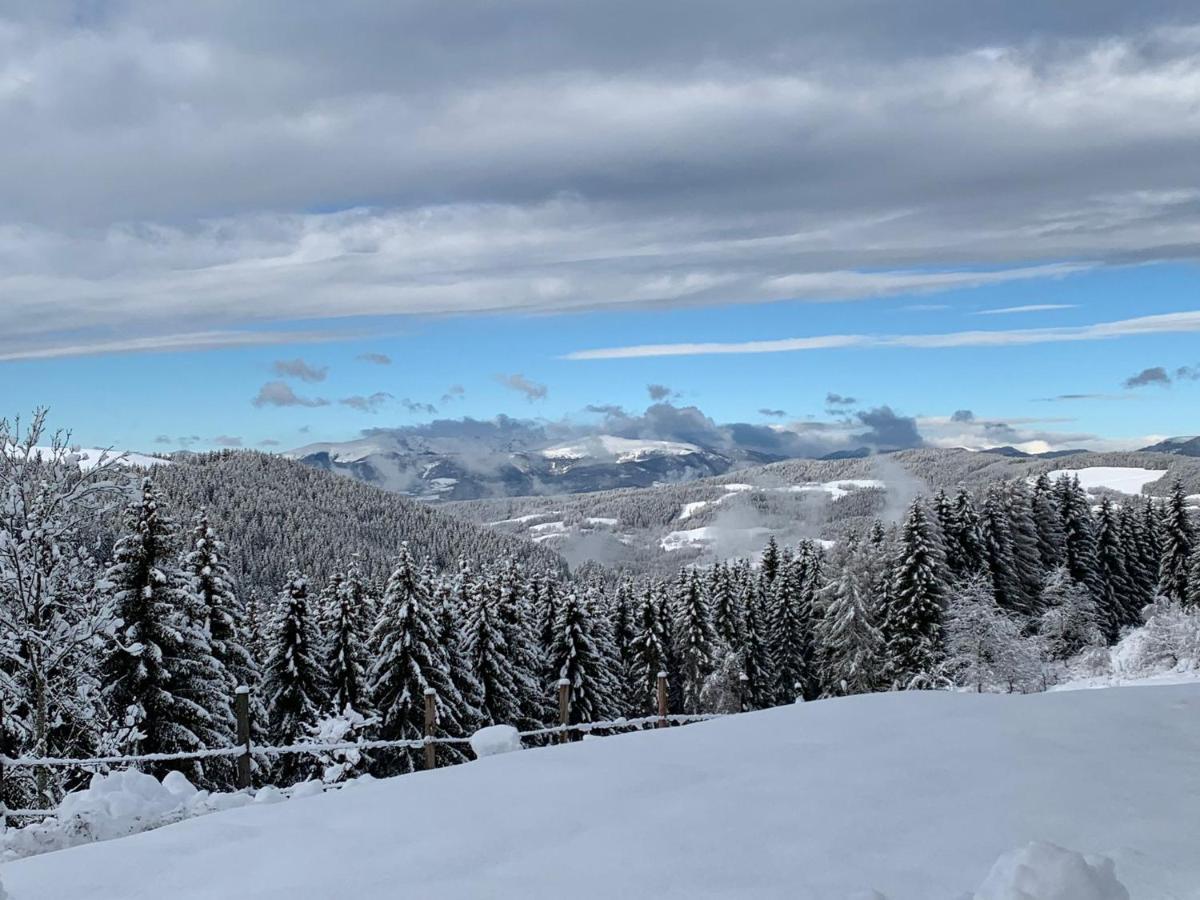 Vila Forsthaus Gray 4 Sankt Veit an der Glan Exteriér fotografie