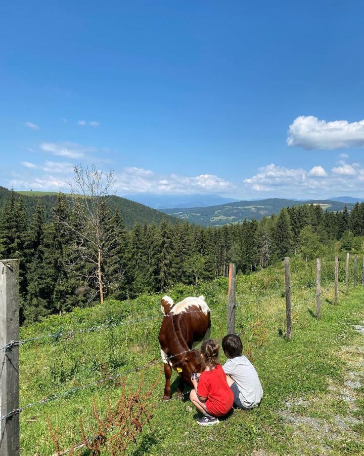 Vila Forsthaus Gray 4 Sankt Veit an der Glan Exteriér fotografie