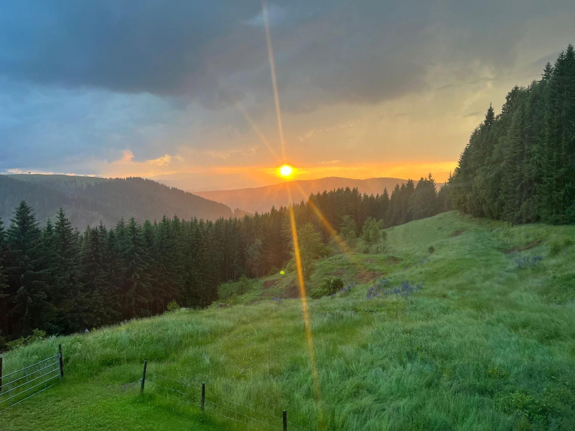 Vila Forsthaus Gray 4 Sankt Veit an der Glan Exteriér fotografie